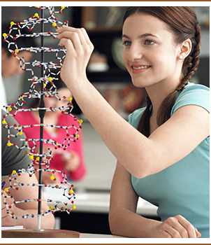 Female student works on a DNA model